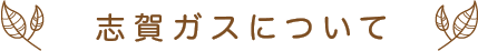 志賀ガスについて